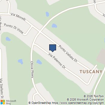 464 Via Palermo Drive Henderson, NV MLS# 2809582
