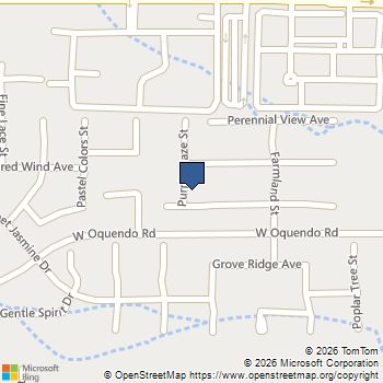 9580 Magnificent Avenue Las Vegas, NV MLS# 2779829