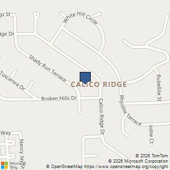 1113 Shady Run Terrace Henderson, NV MLS# 2751605