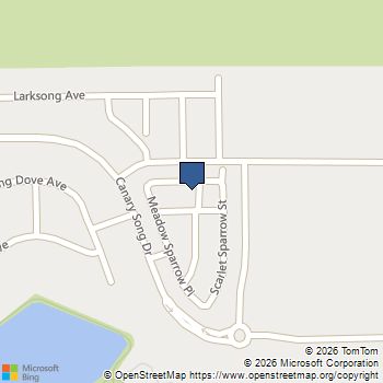 341 Summer Sparrow Avenue Henderson, NV MLS# 2799545