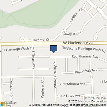7606 Red Plumeria Avenue Las Vegas, NV MLS# 2788851
