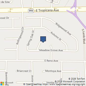 5028 Meadow Grove Court Las Vegas, NV MLS# 2773818