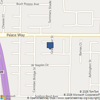 9166 Riding Heights Avenue Las Vegas, NV MLS# 2813084