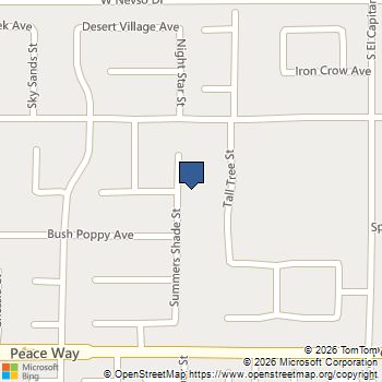 4354 Summers Shade Street Las Vegas, NV MLS# 2760390