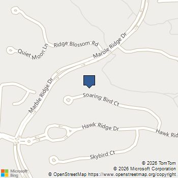 46 Soaring Bird Court Las Vegas, NV MLS# 2824374