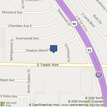 4029 Shadow Wood Avenue Las Vegas, NV MLS# 2757249