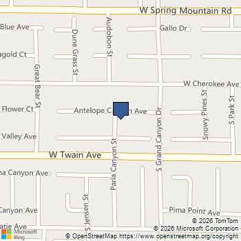 9843 Antelope Canyon Avenue Las Vegas, NV MLS# 2809794