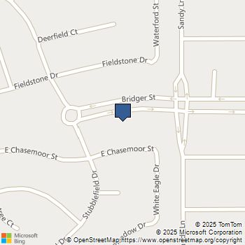 5391 E Bridger Street Pahrump, NV MLS# 2728465