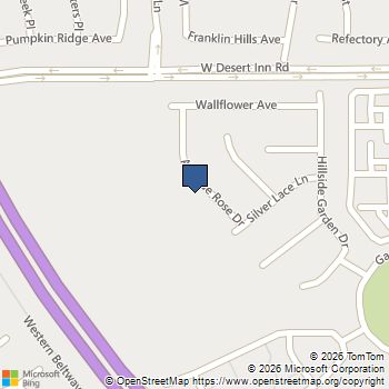 3391 Antique Rose Drive Las Vegas, NV MLS# 2827935