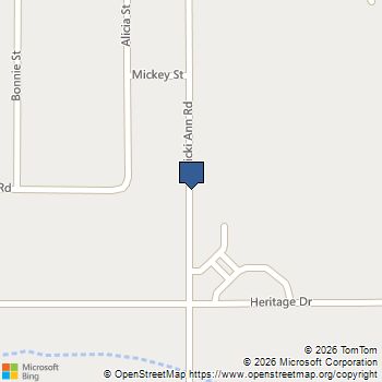Vicky Ann RD Pahrump, NV MLS# 2788807