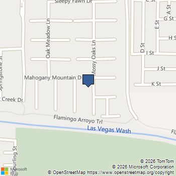 2705 Mossy Oaks Lane Las Vegas, NV MLS# 2825956