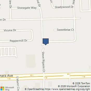 6221 Peppermill Drive Las Vegas, NV MLS# 2796418