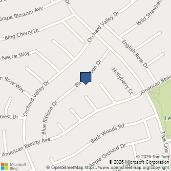 1778 Blue Ribbon Drive Las Vegas, NV MLS# 2797608