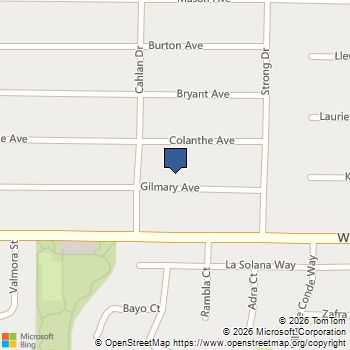 2704 Gilmary Avenue Las Vegas, NV MLS# 2791213