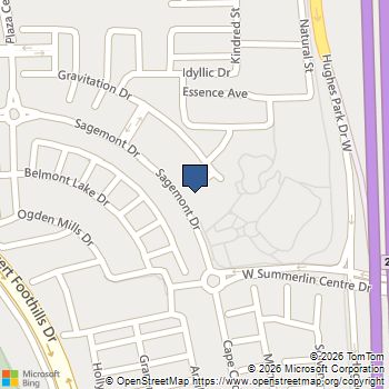 11273 Gravitation Drive Las Vegas, NV MLS# 2763281