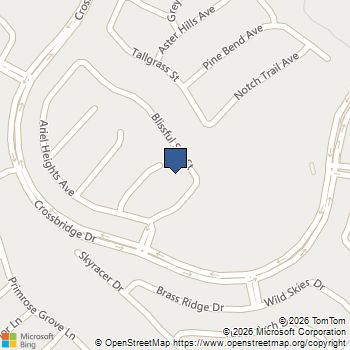 921 Cirrus Cloud Avenue Las Vegas, NV MLS# 2782585