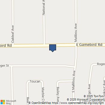 3881 E Gamebird Road Pahrump, NV MLS# 2515881