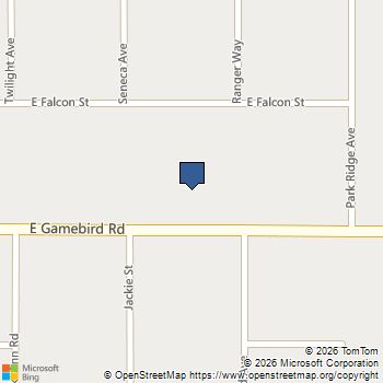 2330 E Gamebird Road Pahrump, NV MLS# 2723535