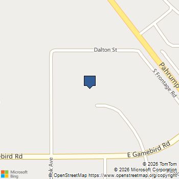 3801 S Panhandle Place Pahrump, NV MLS# 2821325