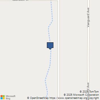 3630 S WINCHESTER Avenue Pahrump, NV MLS# 2352012