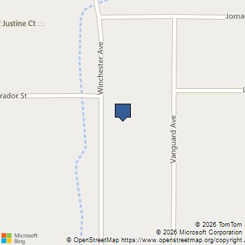 3481 Winchester Avenue Pahrump, NV MLS# 2747964