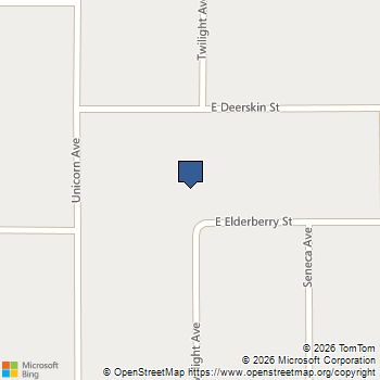 2130 E Elderberry Street Pahrump, NV MLS# 2673120