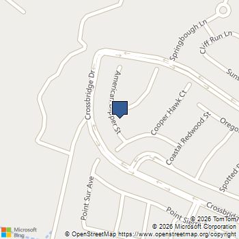 402 Black Turnstone Court Las Vegas, NV MLS# 2815746