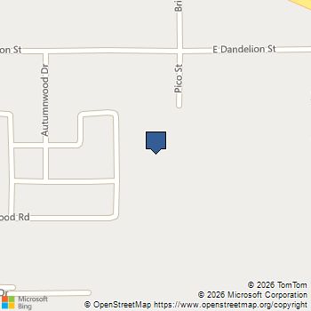 4271 E Dandelion Street Pahrump, NV MLS# 2606720