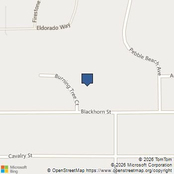 3161 Burning Tree Court Pahrump, NV MLS# 2722853