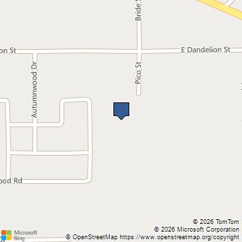 4271 E Dandelion Street Pahrump, NV MLS# 2825869
