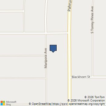 3081 S Mariposa Avenue Pahrump, NV MLS# 2772443