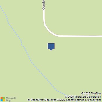 119 Condor Avenue Shoshone, CA MLS# OC25238780