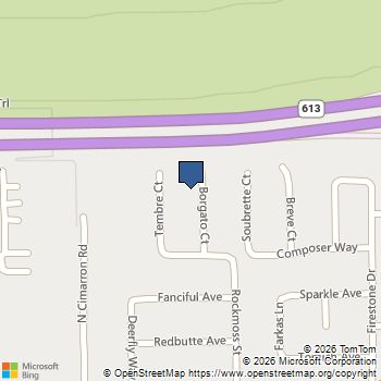 397 Borgato Court Las Vegas, NV MLS# 2826513