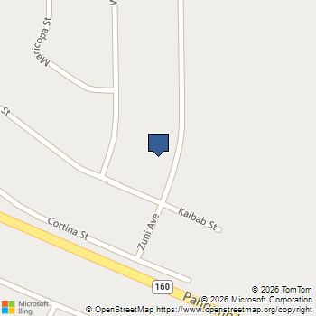 2540 S Zuni Avenue Pahrump, NV MLS# 2776679