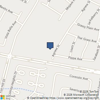 61 Agnew Street Las Vegas, NV MLS# 2802289