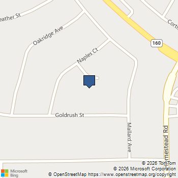 2340 S Council Court Pahrump, NV MLS# 2809964