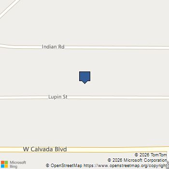 880 W Lupin Street Pahrump, NV MLS# 2820590