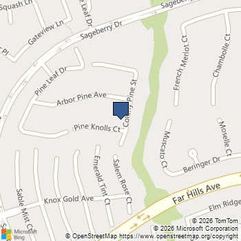 11000 Pine Knolls Court Las Vegas, NV MLS# 2809387