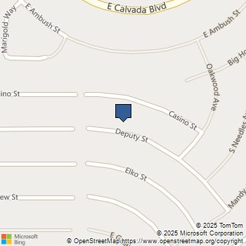 2070 E Deputy Street Pahrump, NV MLS# 2668728