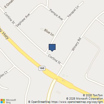 3020 E CORTINA Street Pahrump, NV MLS# 1378000