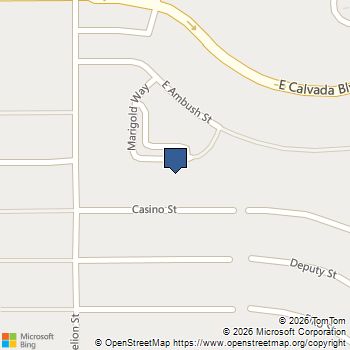 1881 Big Horn Street Pahrump, NV MLS# 2734902
