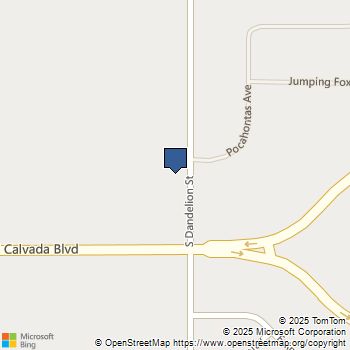 1800 S Dandelion Street Pahrump, NV MLS# 2659618