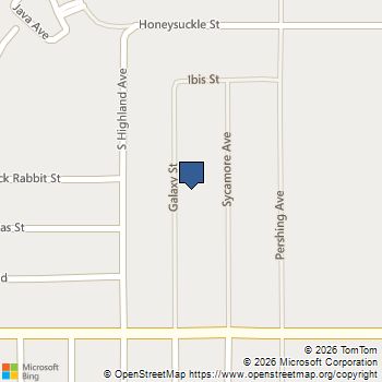 1731 S Galaxy Street Pahrump, NV MLS# 2828464