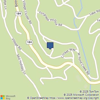 133 Village Cluster Road Beech Mountain, NC MLS# 211104