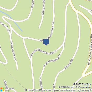 120 Wintergreen Way Beech Mountain, NC MLS# 261924