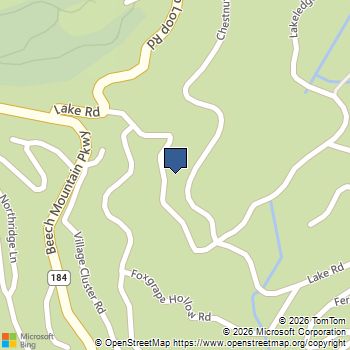 213 Lake Road Beech Mountain, NC MLS# 261822