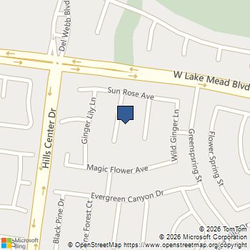 2420 Rice Flower Circle Las Vegas, NV MLS# 2739569