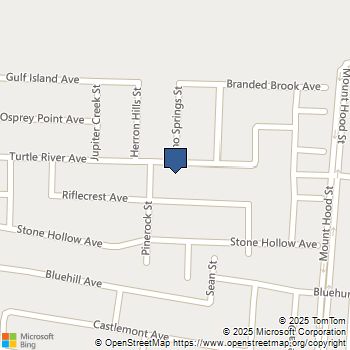 6127 Turtle River Avenue Las Vegas, NV MLS# 2734647