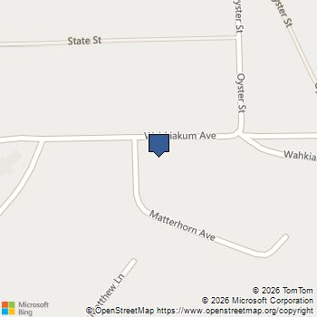 1751 E Wahkiakum Avenue Pahrump, NV MLS# 2813660