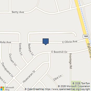 831 E Olivia Avenue Pahrump, NV MLS# 2823999